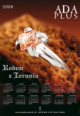 ADA-PLUS - kalendarz na rok 2008