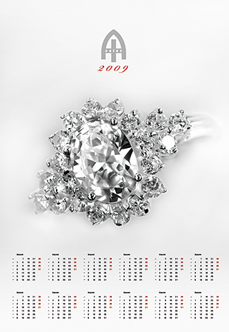 ADA-PLUS - kalendarz na rok 2009